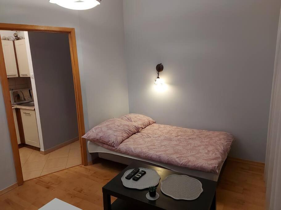 Homelyapartment クラクフ エクステリア 写真