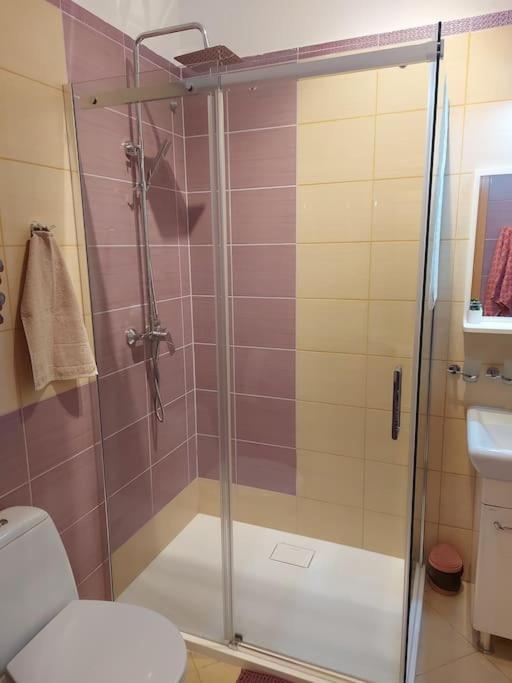 Homelyapartment クラクフ エクステリア 写真