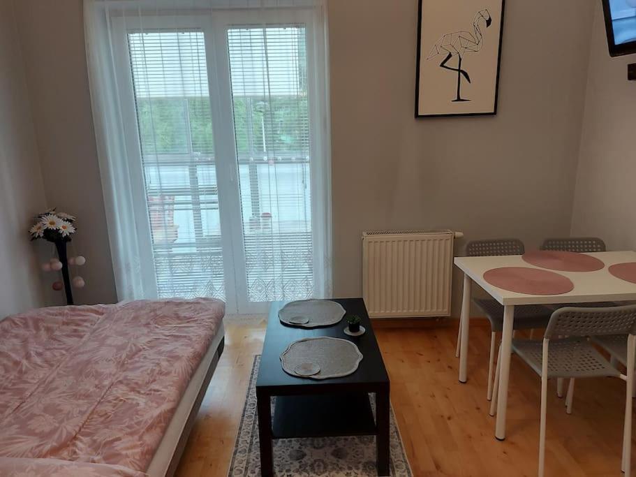 Homelyapartment クラクフ エクステリア 写真