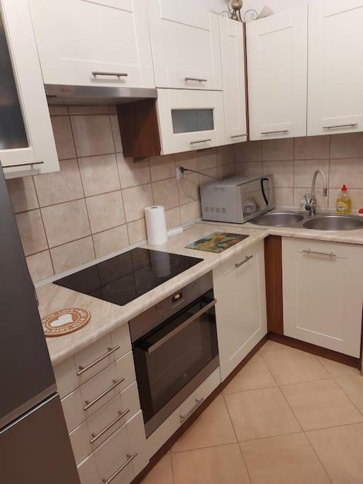 Homelyapartment クラクフ エクステリア 写真